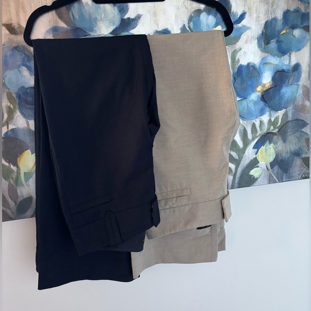 Two Pairs of The Limited Drew Fit Pants. Both Size 4.